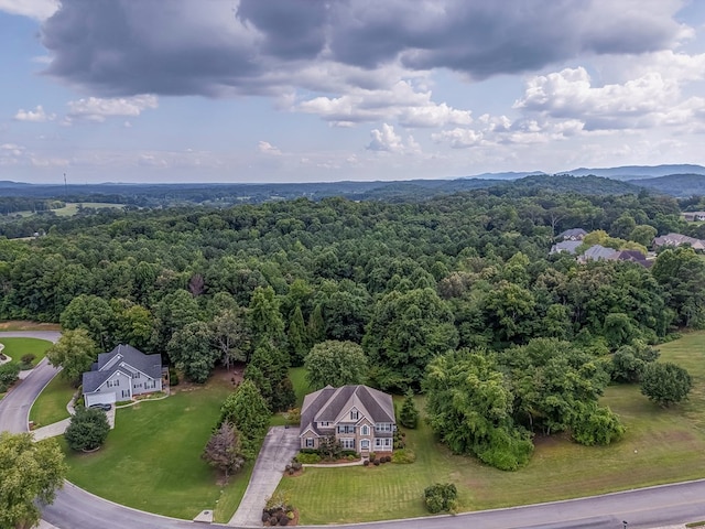 309 Highland Pointe Dr, Cohutta, GA 30710 - photo 88