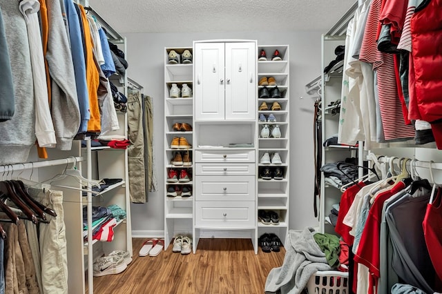 walk in closet featuring wood finished floors