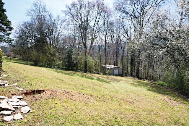 view of yard featuring an outdoor structure and a forest view