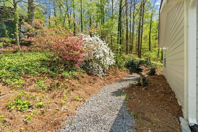 638 Pine Oaks Dr, Tunnel Hill, GA 30755 - view of yard