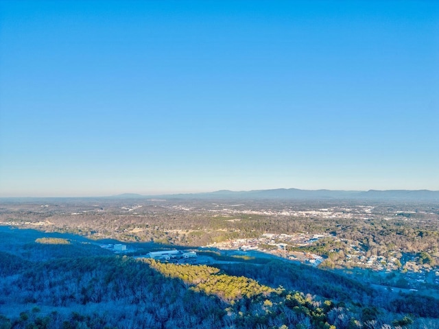 LOT11 Bald Eagle Ln, Dalton, GA 30720 - photo 4