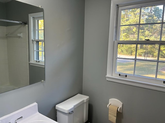 1935 Meadowbrook Cir Unit C, Dalton, GA 30720 - bathroom featuring toilet, plenty of natural light, and walk in shower