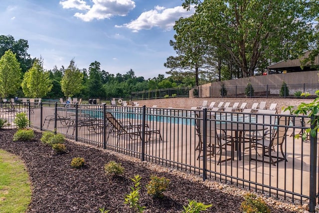 view of swimming pool with a patio