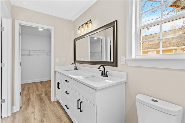 full bath featuring a spacious closet, wood finished floors, a sink, and double vanity