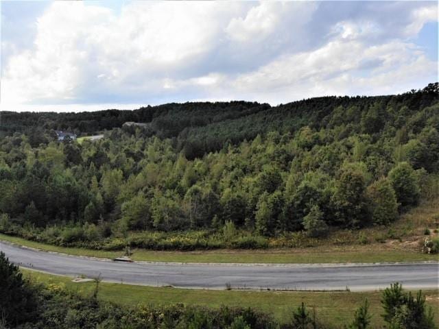 LOT13 Stonechase Way, Cohutta, GA 30710