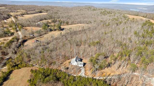 birds eye view of property featuring a mountain view