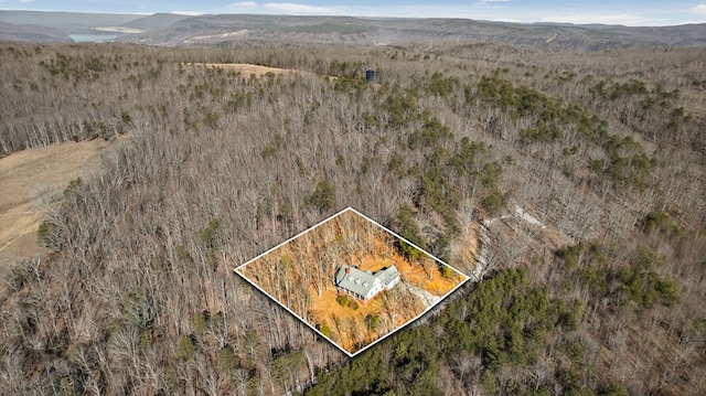 birds eye view of property with a mountain view