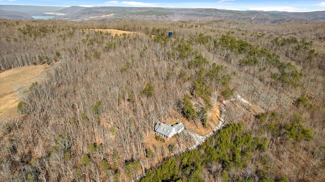 aerial view with a mountain view