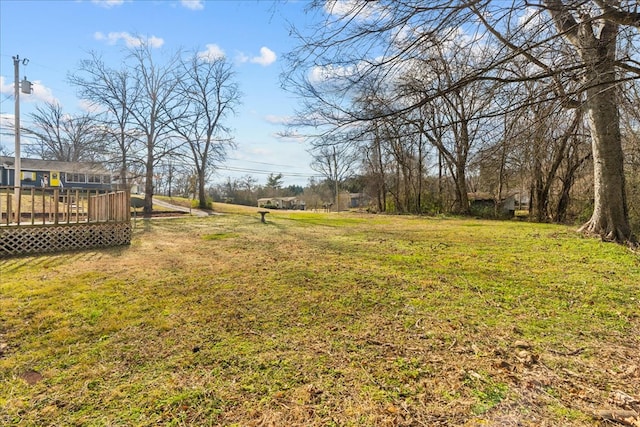 view of yard featuring a deck