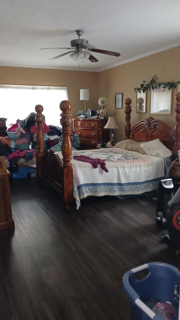 430 Lester Ave, Dalton, GA 30721 - bedroom with wood finished floors, ornamental molding, and ceiling fan