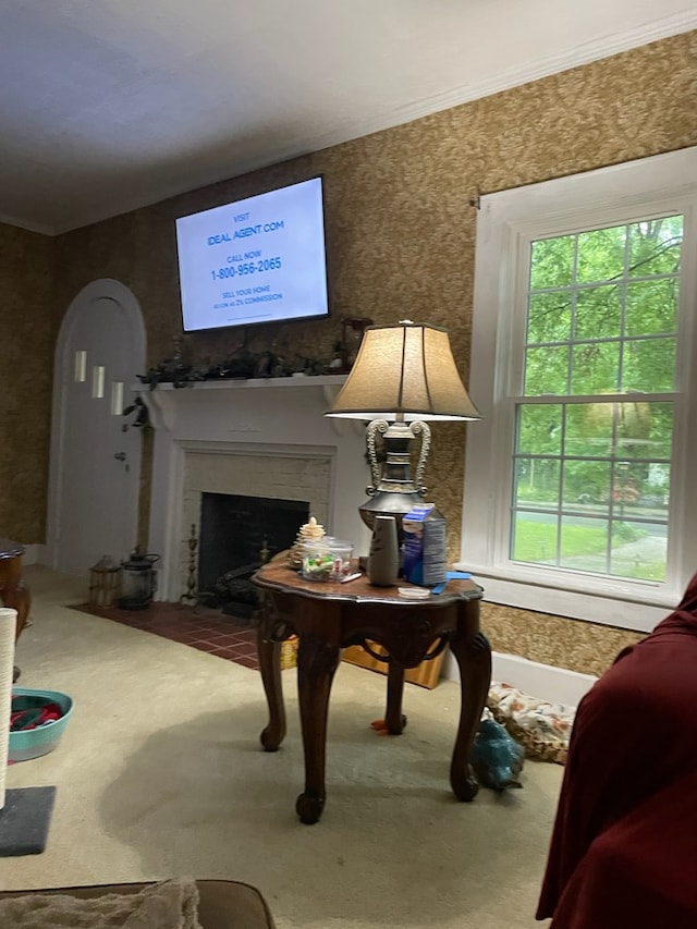 430 Lester Ave, Dalton, GA 30721 - living area featuring carpet flooring, ornamental molding, a fireplace with flush hearth, and wallpapered walls