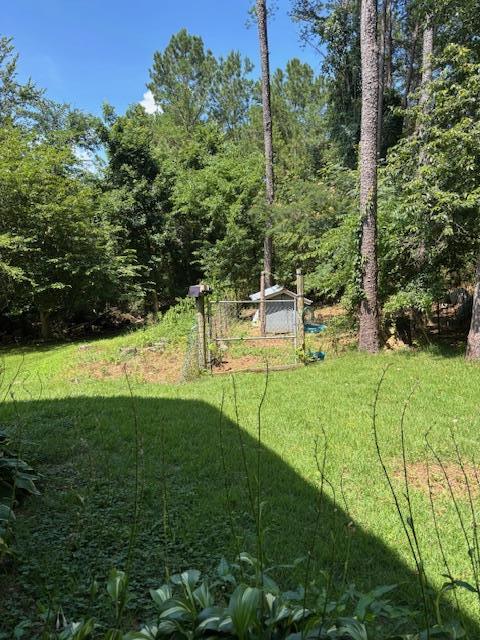 700 Shawn Ln, Chatsworth, GA 30705 - photo 5