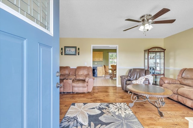 361 Daisy Ln, Chatsworth, GA 30705 - photo 6