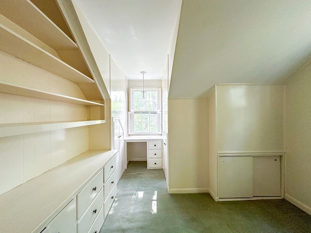 705 Greenwood Dr, Dalton, GA 30720 - walk in closet with light colored carpet
