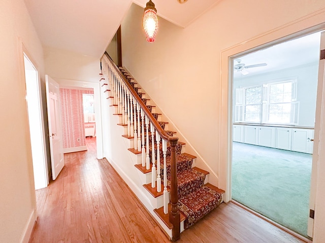 705 Greenwood Dr, Dalton, GA 30720 - stairway with baseboards, ceiling fan, and wood finished floors
