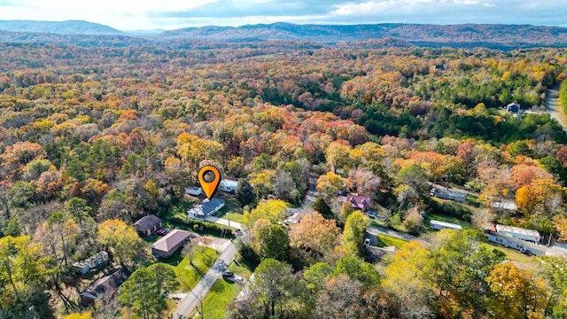 birds eye view of property featuring a mountain view