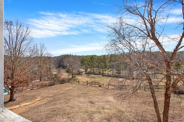 view of yard with a rural view