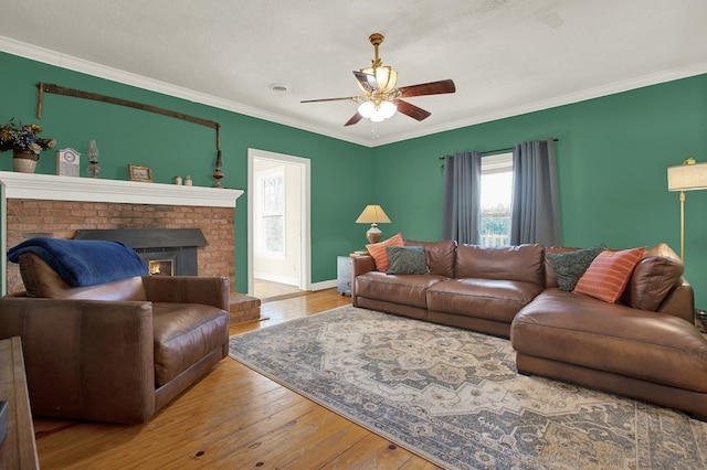 living room featuring ceiling fan, a fireplace, ornamental molding, wood-type flooring, and a textured ceiling