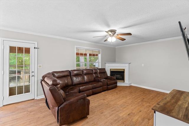 353 Diamond Way, Chatsworth, GA 30705 - living room featuring light wood-style floors, a textured ceiling, ceiling fan, ornamental molding, and a fireplace with raised hearth