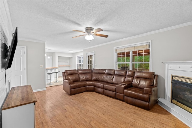 353 Diamond Way, Chatsworth, GA 30705 - living area featuring a glass covered fireplace, light wood-style flooring, crown molding, ceiling fan, and a textured ceiling