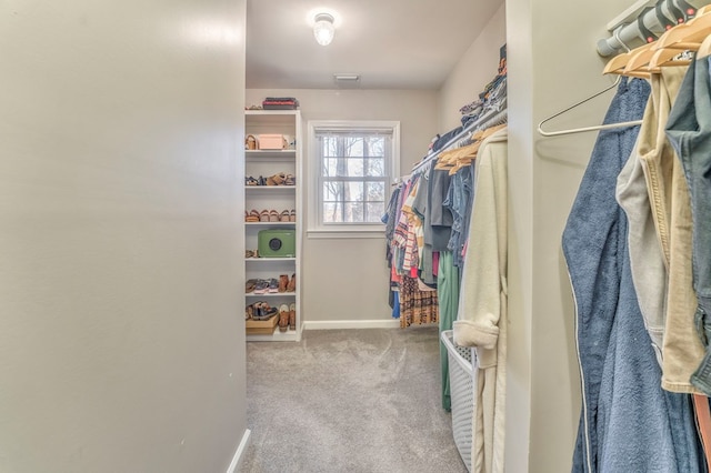 walk in closet with light carpet