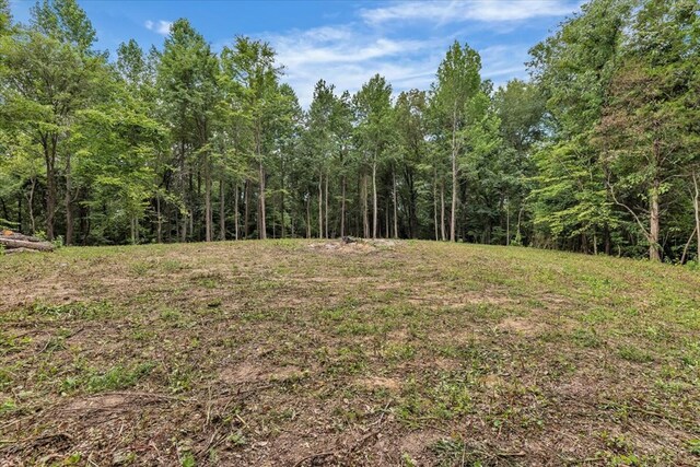 96ACRES Meers Rd, Dalton, GA 30721 - photo 31