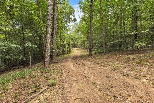 96ACRES Meers Rd, Dalton, GA 30721 - photo 35