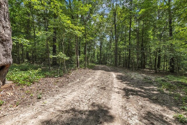 96ACRES Meers Rd, Dalton, GA 30721 - photo 41