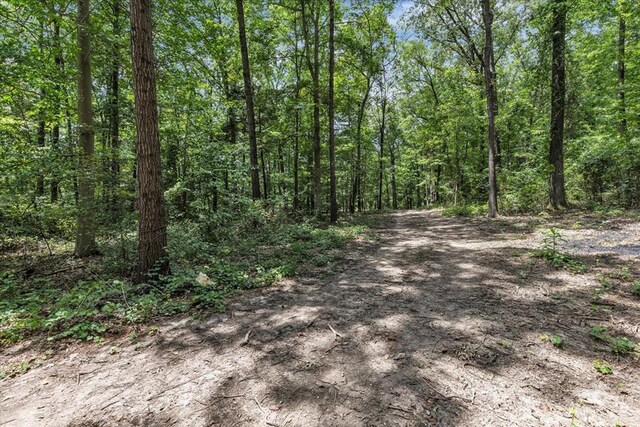 96ACRES Meers Rd, Dalton, GA 30721 - photo 39