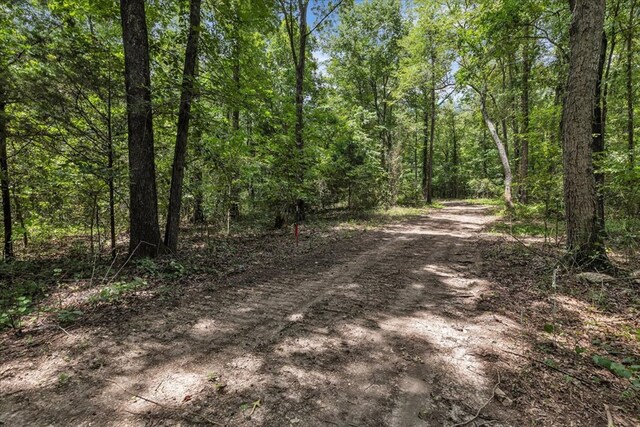 96ACRES Meers Rd, Dalton, GA 30721 - photo 36