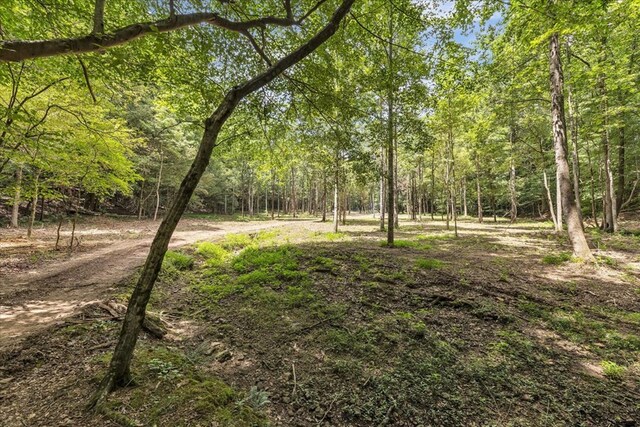 96ACRES Meers Rd, Dalton, GA 30721 - photo 22