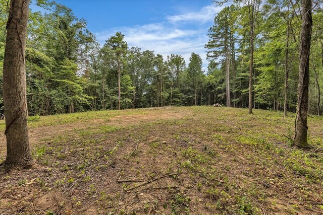 96ACRES Meers Rd, Dalton, GA 30721 - photo 30