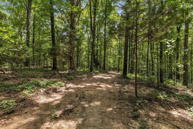 96ACRES Meers Rd, Dalton, GA 30721 - photo 42