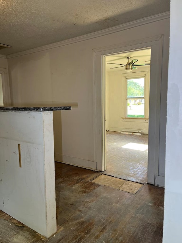 802 Indian Ave, Rossville, GA 30741 - photo 12