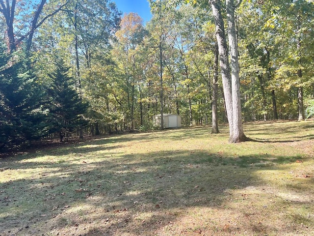 view of yard with a shed