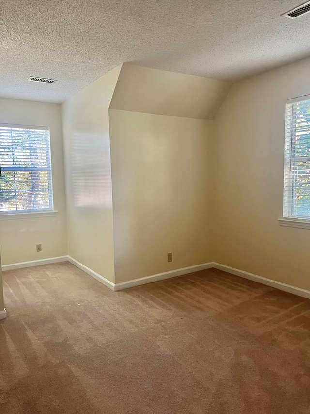 additional living space with carpet flooring and a textured ceiling