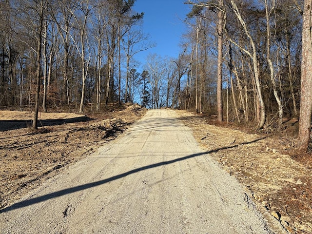 view of road