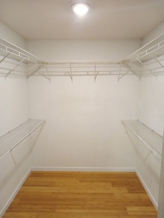 walk in closet with wood-type flooring