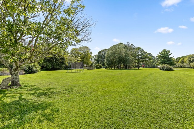 view of yard featuring a trampoline