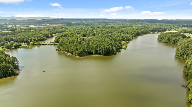 birds eye view of property with a water and mountain view