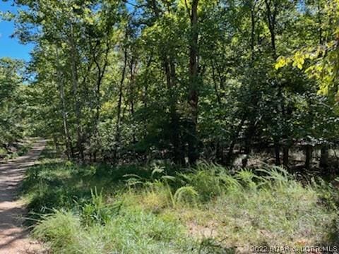 94 Cheyenne Dr, Four Seasons MO, 65049 land for sale