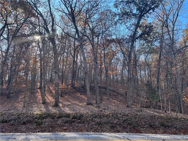 LOT46 Dogwood Rd, Four Seasons MO, 65049 land for sale