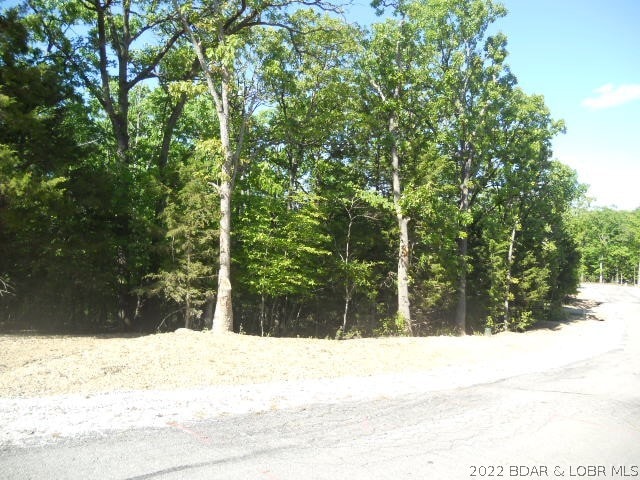 LOT956 Bumps Bend Rd E, Four Seasons MO, 65049 land for sale