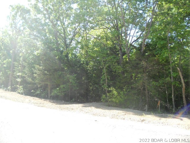 Listing photo 2 for LOT956 Bumps Bend Rd E, Four Seasons MO 65049