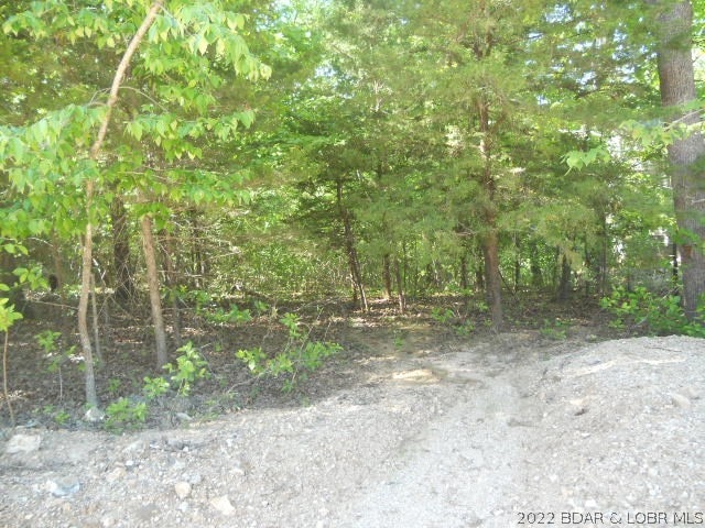 Listing photo 3 for LOT956 Bumps Bend Rd E, Four Seasons MO 65049