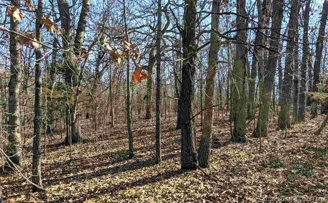 Listing photo 3 for LOT3394UNITG2 Miguel Dr, Edwards MO 65326