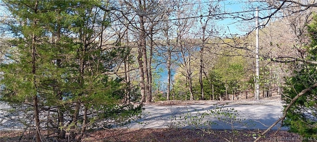 Listing photo 2 for TBD Port Bagnell Road, Eldon MO 65026