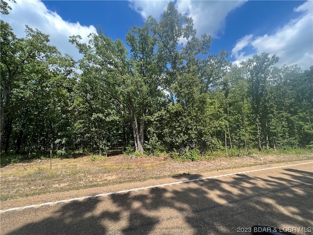 LotD 135 Highway, Gravois Mills MO, 65037 land for sale