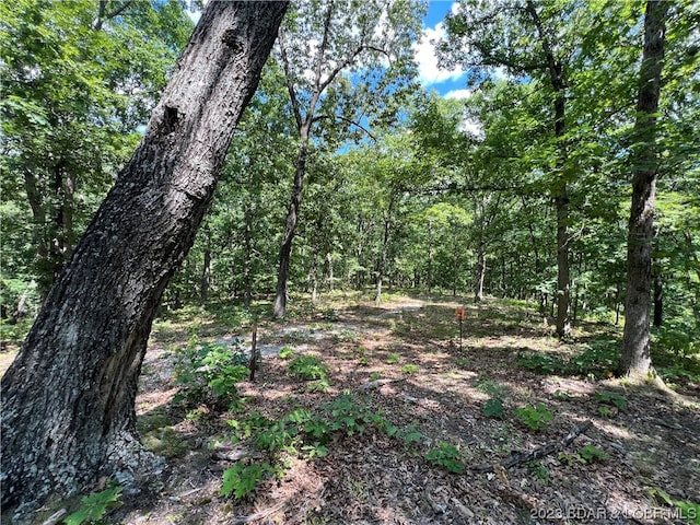 LotF Mini Farm Drive, Gravois Mills MO, 65037 land for sale