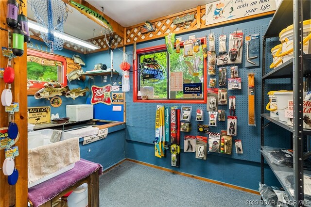 recreation room with carpet floors